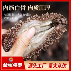 海参;水产礼盒类;水产干货类