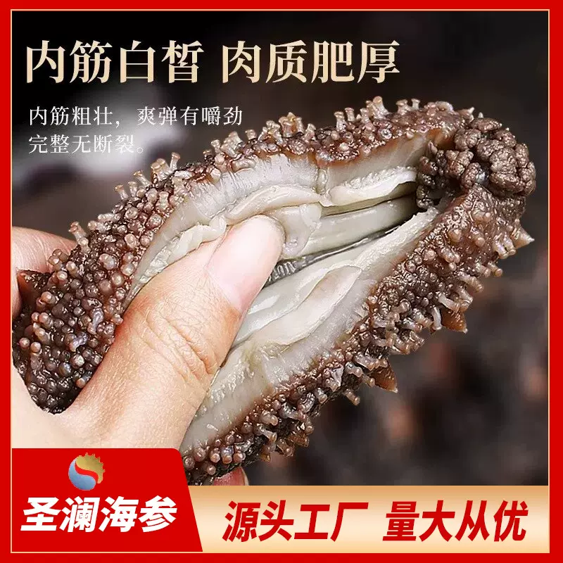 精品鲜食海参500g即食深海海参鲜捕现加工营养丰富无添加肉质Q弹