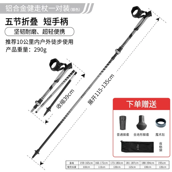 Folding walking stick gray