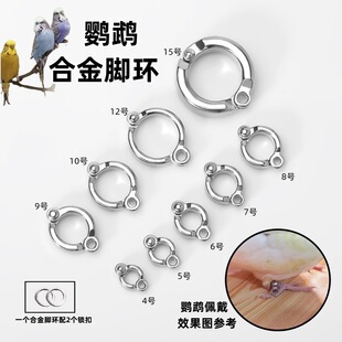 �W�^�_�h �B��_�h�_����B����_��Ȧ����Ʒ�B�� �B�_�h