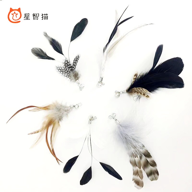 Xingzhi cat manufacturers new wholesale feather leather bell wooden handle long pole cat stick pet cat supplies Xingzhi cat manufacturers new wholesale feather leather bell wooden handle long pole cat stick pet cat supplies