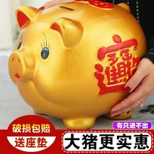 成人储钱罐只进不出女孩男孩子金猪储蓄罐存钱罐只存不取大人用