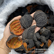 厚肉淡干海参干货批发500g 海参皮加拿大35头红极参足干 量大从优