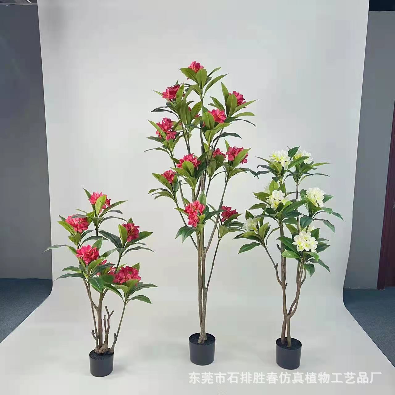 红色茶花树盆栽 仿真植物布景 芙蓉牡丹室内客厅装饰仿真茶花树