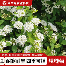 ջNļNֲ_׻ԻSǪ̈̄ͥԺܷN