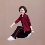 妈妈装春秋运动套装女新款宽松洋气女士立领卫衣休闲跑步三件套