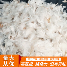 家具沙发抱枕填充番鸭毛片，番鸭毛2-4cm羽绒被鸭毛绒片