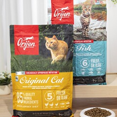 Orijen Thirst/Want Six Fish Thirst Wang No Grain Chicken Cat Food Full Stage Cat Food Adult and Kitten Nutritional Cat Food