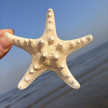 �S��ֱ�Nؐ�������~�[��С��������Ĕz���ߵؔ�Դ�^�F؛���l