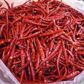 姜;花椒/青椒;库存农产品