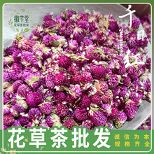 现货批发千日紫干花不熏硫千日红产地货源散装500g花草茶一件代发