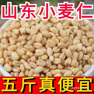 �r��ȥƤС���������� ÓƤС���� �������s�Z�r�Ұ��]ʳ������