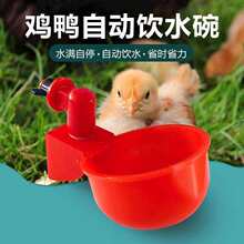 ���Ԅ��ˮ���u������ιˮ���r�u�g���Ԅ�ιˮ����ʳ�ۺ�ˮ��