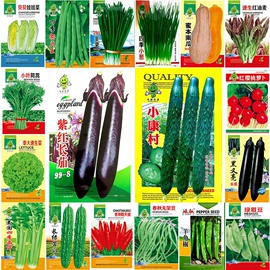 盆栽;月季蔷薇植物;乔木