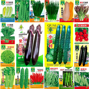 Four Seasons Sowing Vegetable Seeds Greenhouse Rapeseed Potted Vegetable Seeds Balcony Vegetable Garden Cabbage Cucumber Shallot Water Radish