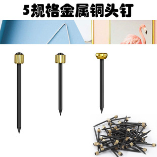 �S�����l 5Ҏ���ɫ����~�^� �� ��ɫ�����F�ľ�����