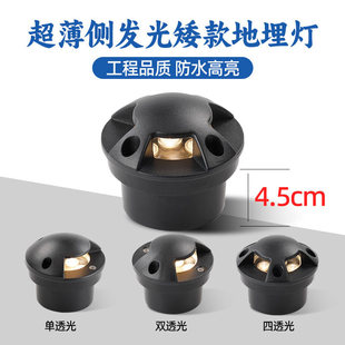 �����Ȱl�Ⱛ��������ɫ��ˮ��������Ʒ�|����ͥԺ�؟��������