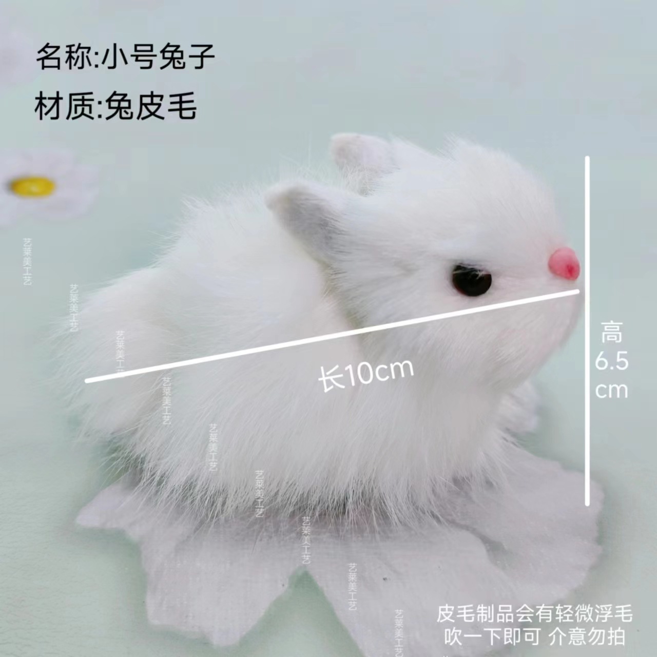 스몰 사이즈 토끼