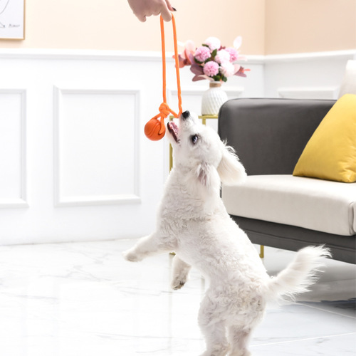 Meianju rope toy ball bite-resistant solid ball rubber chewing toy ball pet ball outdoor retrieval training