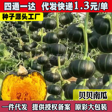 GtؐؐϹϷNӰСϹƷNŴﲥ߲˷N