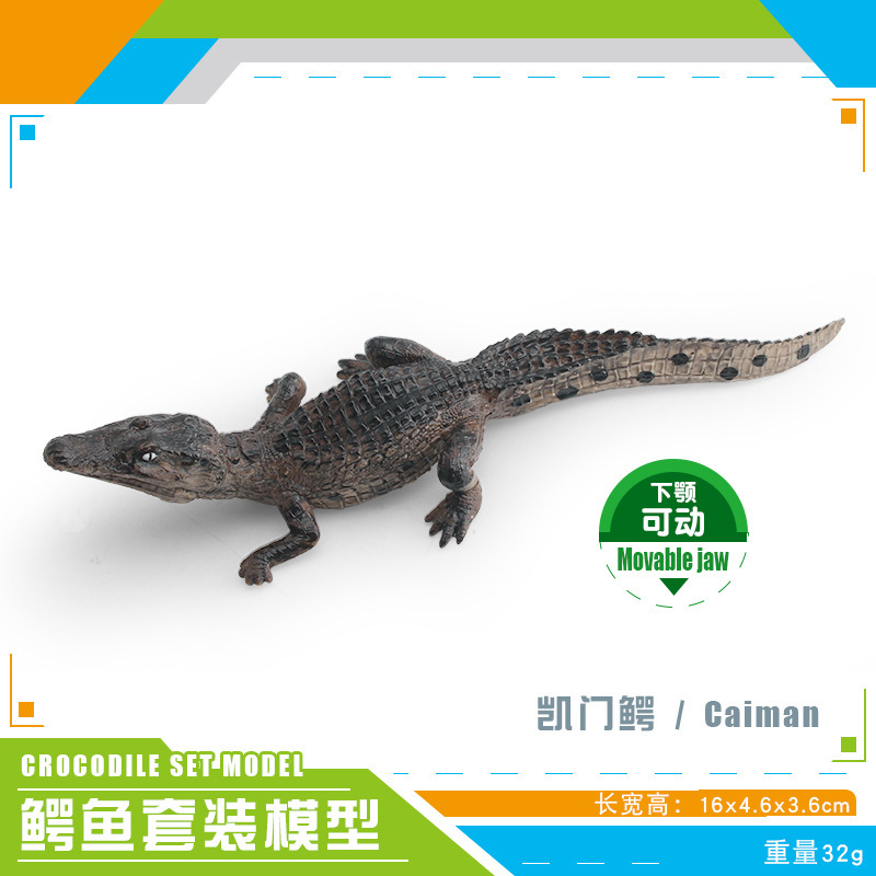 Transfronterizos infantiles simulación anfibio cocodrilo modelo cocodrilo imperador cocodrilo Yangtze mandíbula móvil estático juguete de decoración