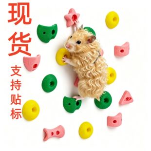 �}�����Ҡ���z���������Ҡ�С�����b� Hamster Climbing Wall