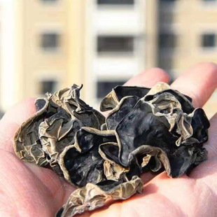 �½��ݳ��خa��ľ������؛С��ľ�������Û��賴�����l���l