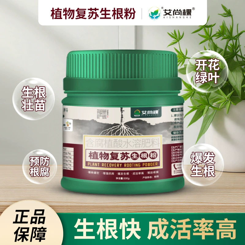 Айшан растения реанимировали корни и порошок цветов