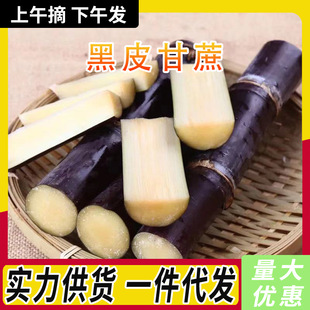 �V����Ƥ���ᮔ���F�����rˮ��������]�����֭��U��3/9�����l