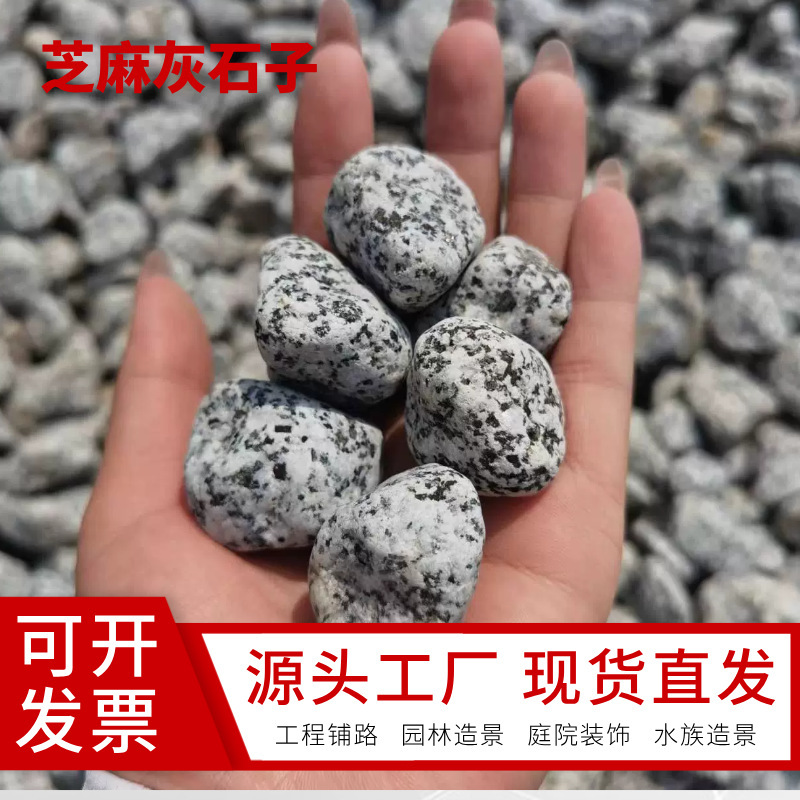 Sesame White Granite Gravel, Black and White Speckled Stones, Basalt, Sesame Black, Sesame Gray, Landscaping, Paving, White Granite Stones