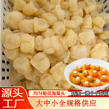 菊花蛰小颗均匀小海蜇头盐渍漂淡酒店商用凉拌菜火锅海蜇花小美