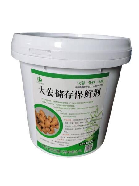 Factory manufacturers supply large ginger storage preservation…