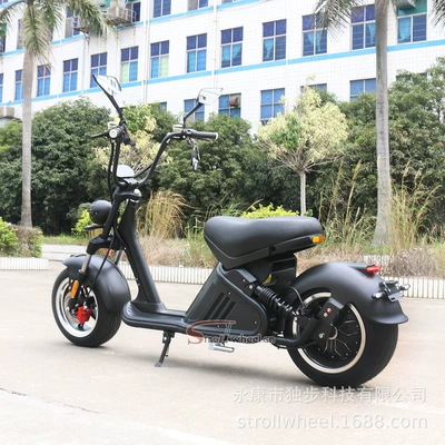 Elektrikli motosikletlər, Harley Electric Motorcycle for