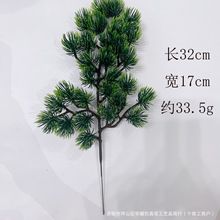 �S��ֱ������ֲ���°���֦�٘�֦���^�b�ӭ�����������ϻ�������