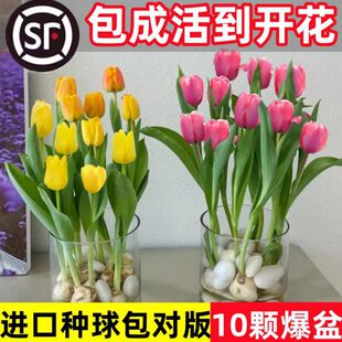 ������N��ˮ�໨��ֲ���҃Ȼ��ļ��_���N�����Ի�������ˮ�B�û�