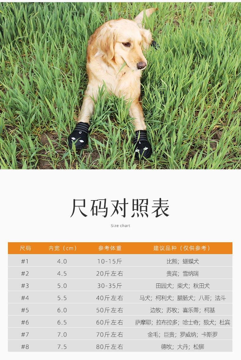A2107款黑狗鞋淘宝详情_r5_c1.jpg