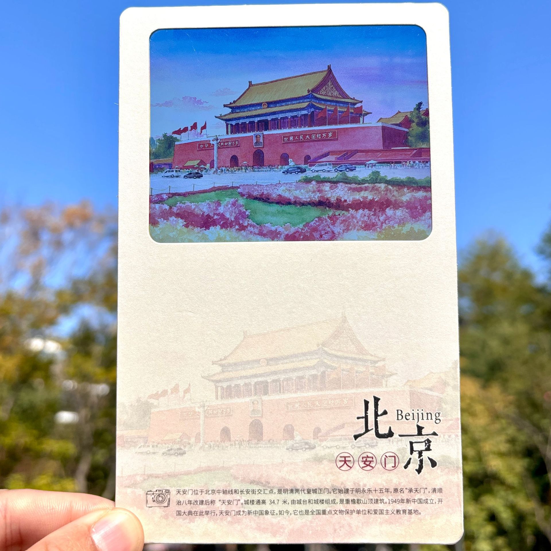 详情图