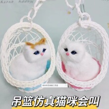 ���@����؈������@�����÷��湷�l��@�����؈���^���u����С؈