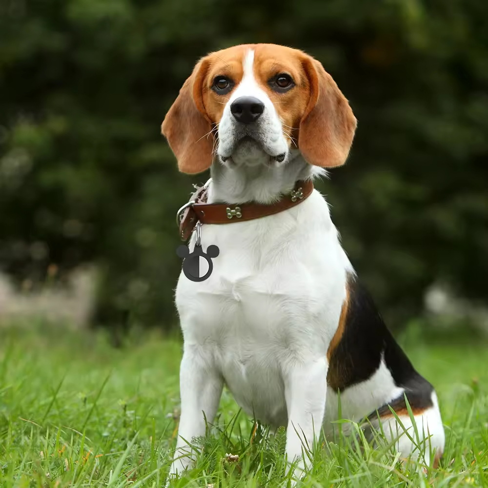 Aplicable a AirTag Silicone Cover Apple Localizador Waterproof Silicone Pet Collar Tracking Cover
