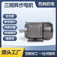 厂家直销定制铁壳电机三相交流电机YE3立式卧式三相电机