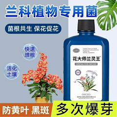 花大师兰花专用土植料营养土君子兰蝴蝶兰种植颗粒松树皮兰科花土