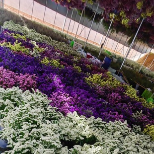 �������������ɻ������r���ֹ����M����ˮ�������˲��{�������l