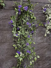 Ʒl~ڒٗlG~b҃Ȼټٻ@G}l