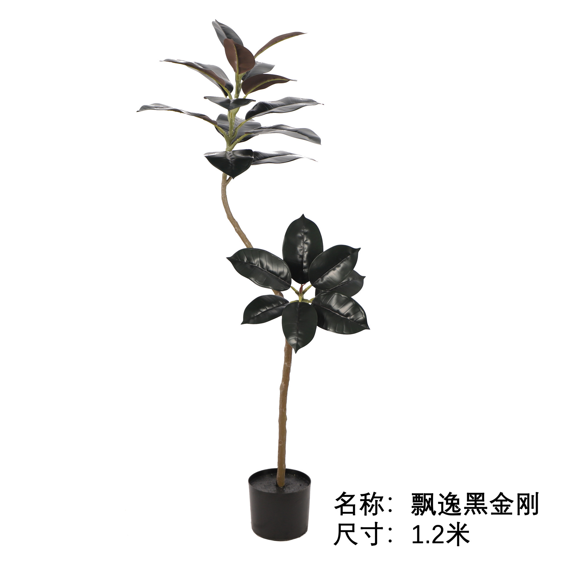 Elegante diamante negro-120cm