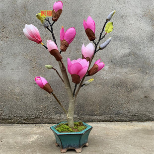 ���԰����޽������m�����m�������ϱ����N�ͺ����Ի���ֲ�����