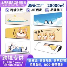 ������ˉ|�Ȍ������L�k��늸���X���|Դ�^���S�羳�����������|