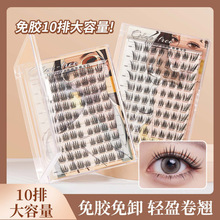 GECOMO������z�pб�w��ë��͸��ϵ��ë�냺��������ܿ羳�ٽ�ë