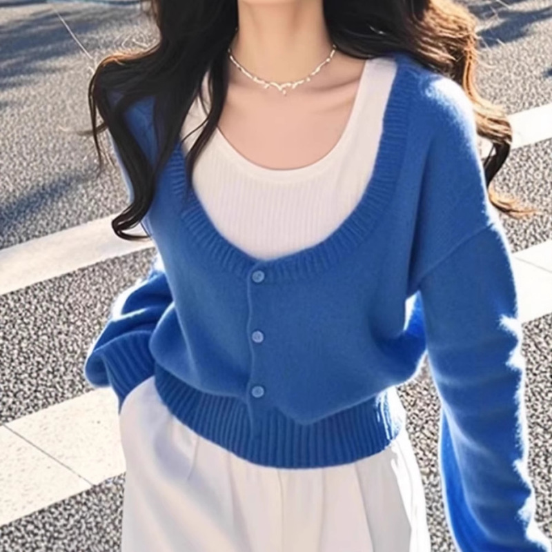 Trendy Youthful Blue Two-Piece Knit Top for Women, New Autumn 2025, Popular This Year, Beautiful Blouse