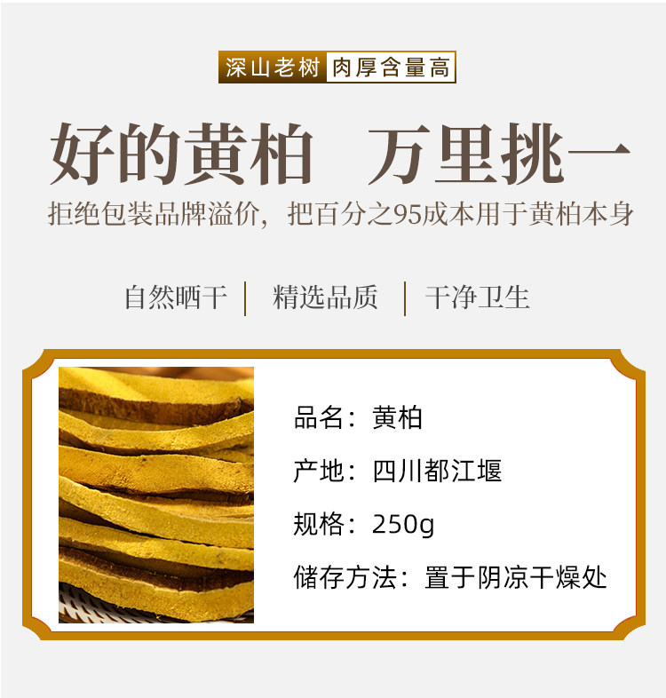 Wild Sichuan Phellodendron Bark Huang Bai 100g Dried TCM Herb for Decoction and External Wash in use