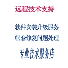 T3标准版/普及版财务软件安装技术维护服务单据制作2022服务维护